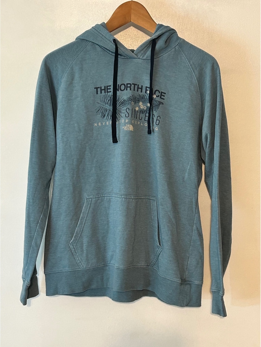 The North Face Blue Hoodie Sweatshirt Size M